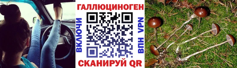 Галлюциногенные грибы Magic Shrooms  где купить наркотик  кракен как зайти  маркетплейс Telegram  Учалы 